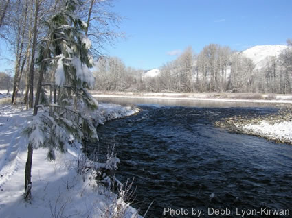 click here to visit the photo gallery!